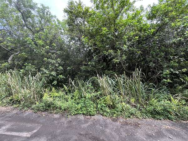 0.46 Acres of Residential Land for Sale in Nāʻālehu, Hawaii