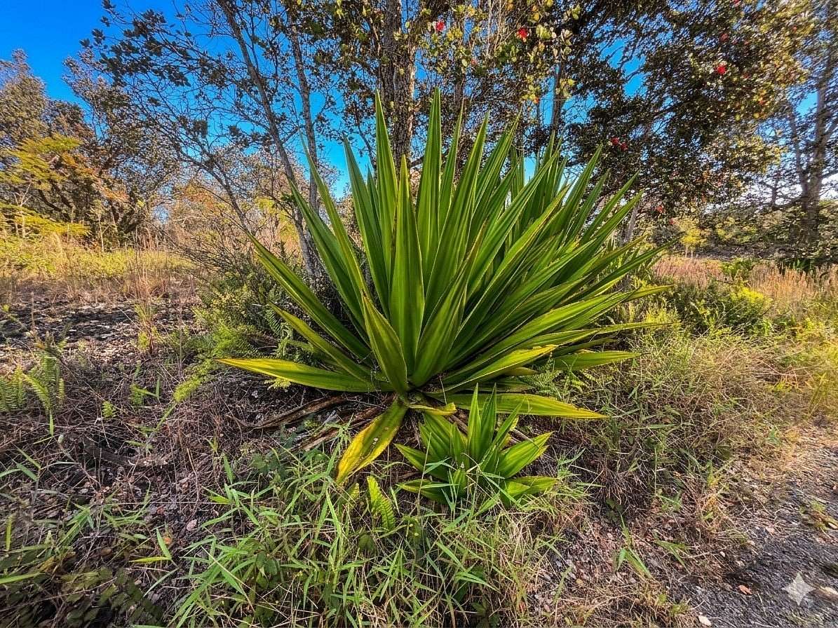 1 Acre of Land for Sale in Hawaiian Ocean View, Hawaii