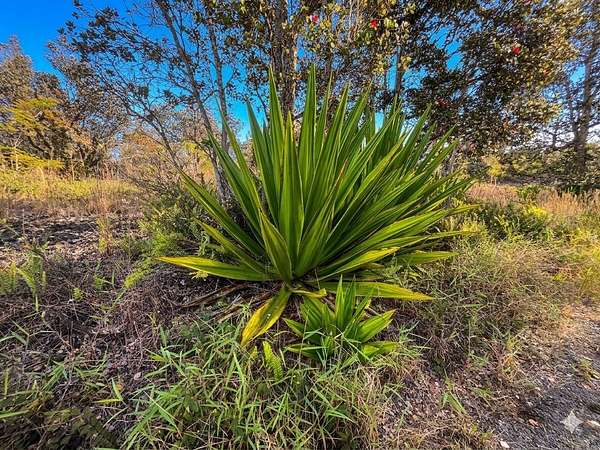 1 Acre of Land for Sale in Hawaiian Ocean View, Hawaii