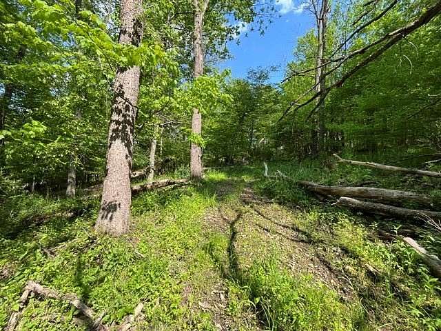 4 Acres of Residential Land for Sale in Bellville, Ohio