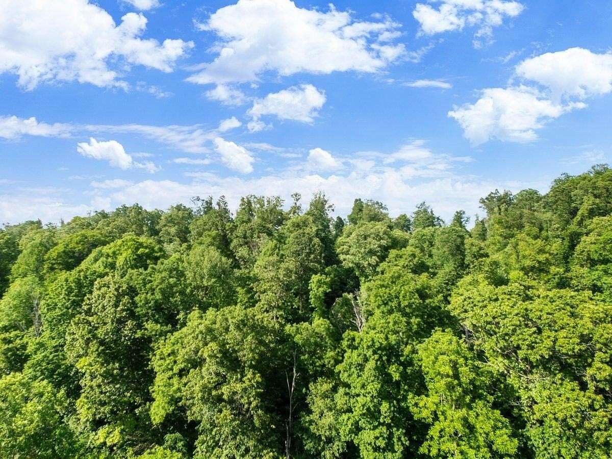 1 Acre of Land for Sale in Pembroke, Virginia