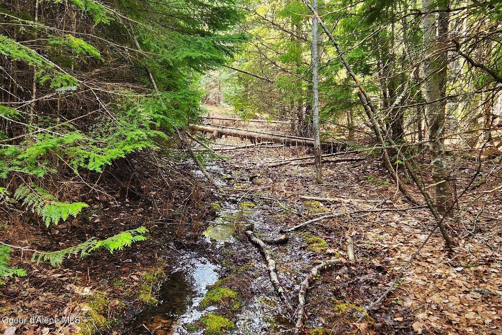 9.89 Acres of Land for Sale in Priest River, Idaho