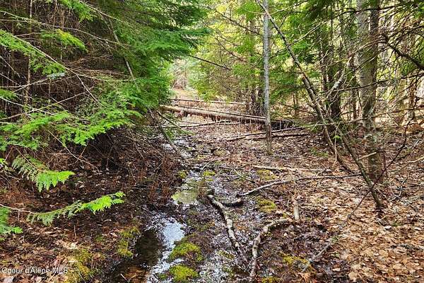 9.89 Acres of Land for Sale in Priest River, Idaho