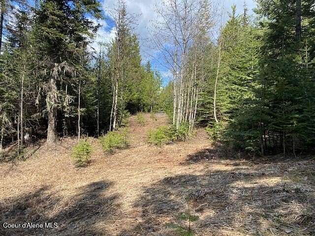 10 Acres of Residential Land for Sale in Sandpoint, Idaho