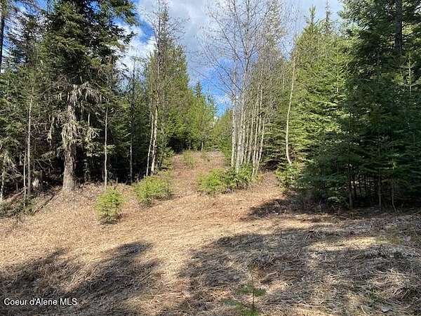 10 Acres of Residential Land for Sale in Sandpoint, Idaho
