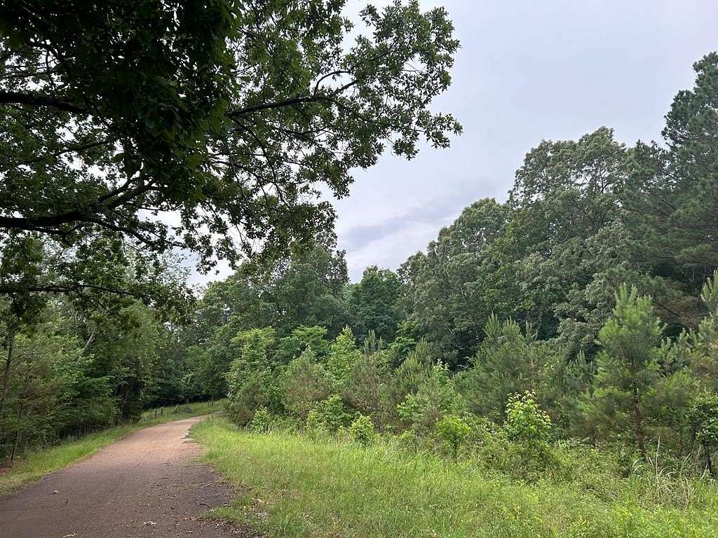 28.5 Acres of Land for Sale in Batesville, Mississippi