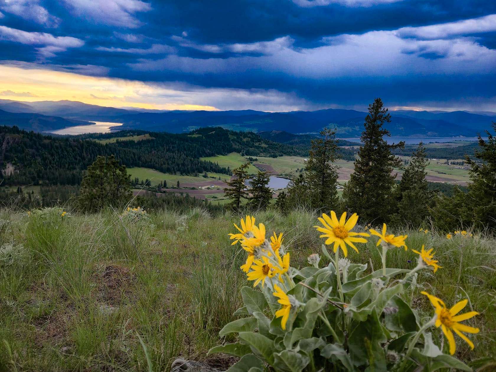304 Acres of Recreational Land for Sale in Fruitland, Washington