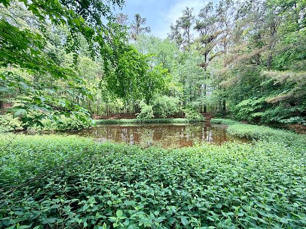 13 Acres of Land for Sale in Booneville, Mississippi