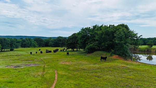 65 Acres of Land for Sale in Eufaula, Oklahoma