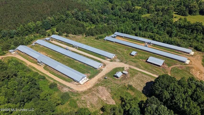 40 Acres of Agricultural Land for Sale in Philadelphia, Mississippi