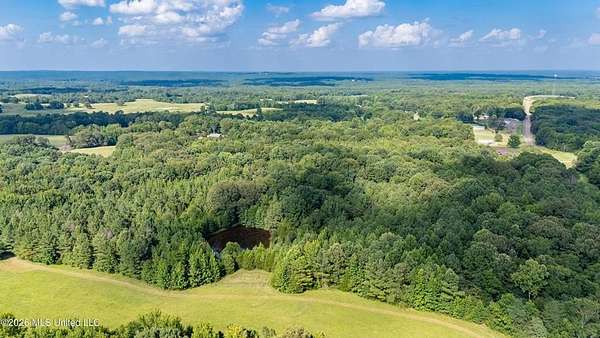 28 Acres of Recreational & Residential Land for Sale in Waterford, Mississippi