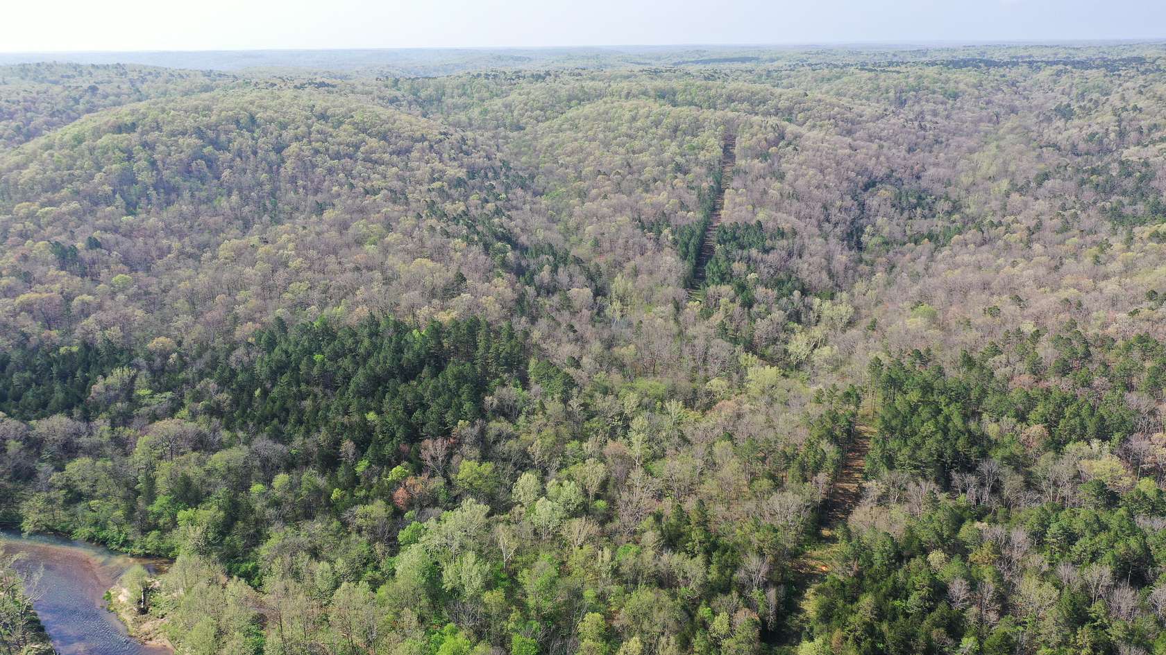 80 Acres of Land for Sale in Raymondville, Missouri