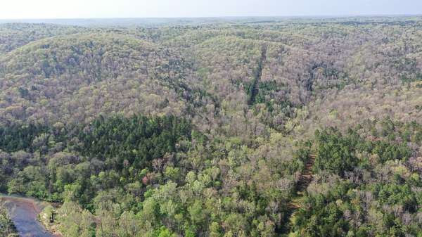 80 Acres of Land for Sale in Raymondville, Missouri
