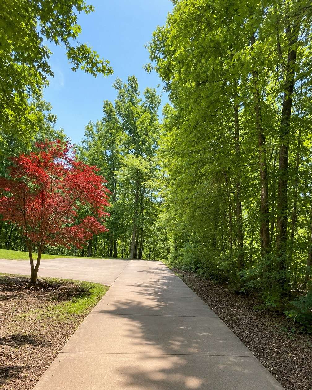 18 Acres of Land for Sale in Portland, Tennessee