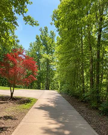 18 Acres of Land for Sale in Portland, Tennessee