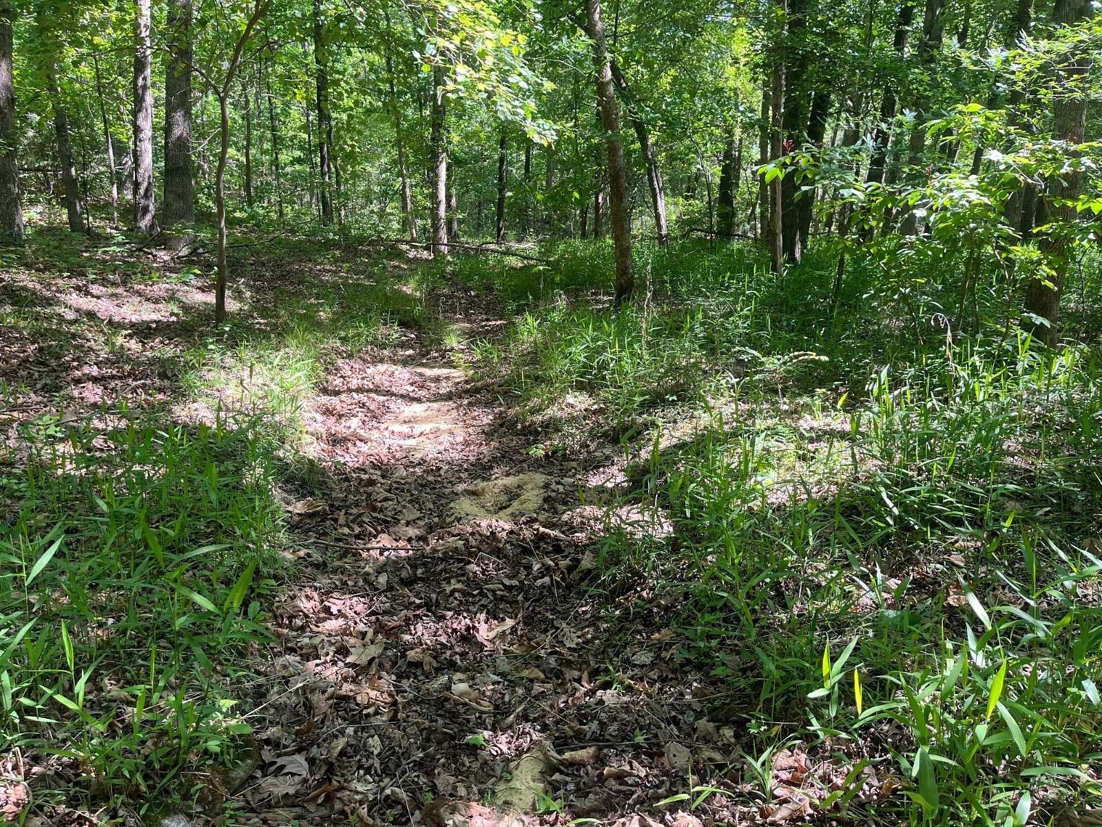 35 Acres of Land for Sale in Cave City, Arkansas