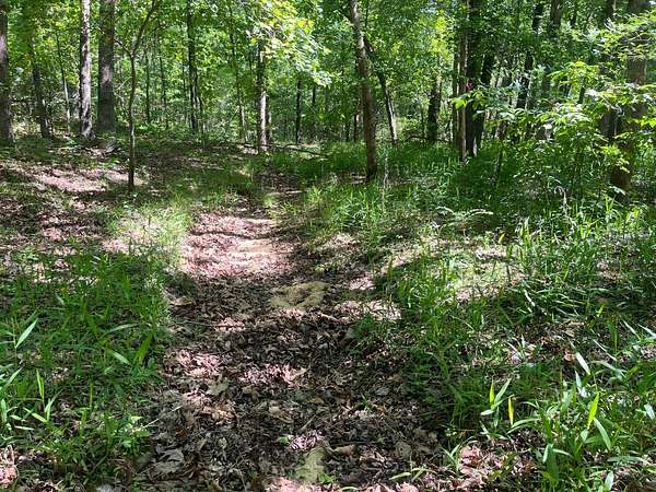 35 Acres of Land for Sale in Cave City, Arkansas