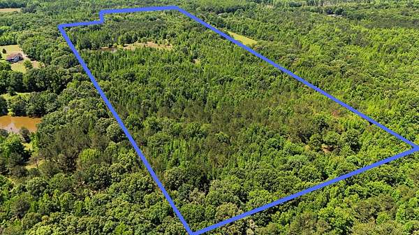44 Acres of Recreational & Residential Land for Sale in Fitzpatrick, Alabama
