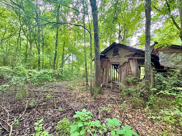 1.8 Acres of Residential Land for Sale in Sicily Island, Louisiana
