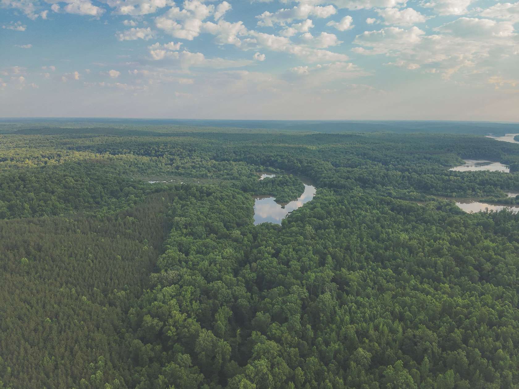 1,379 Acres of Recreational Land for Sale in Parsons, Tennessee