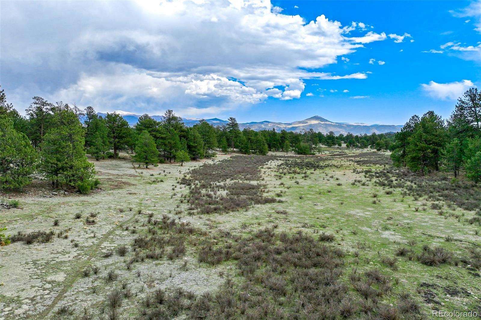 20 Acres of Land for Sale in Guffey, Colorado