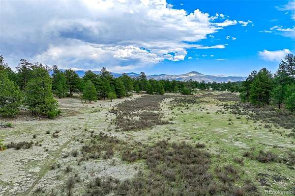20 Acres of Land for Sale in Guffey, Colorado