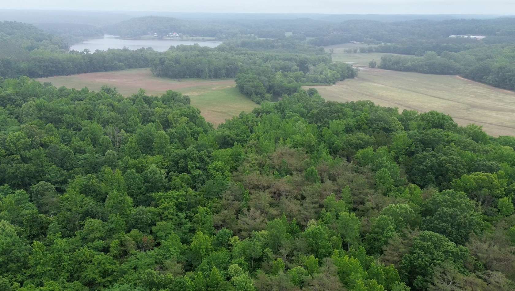13 Acres of Land for Sale in Decaturville, Tennessee