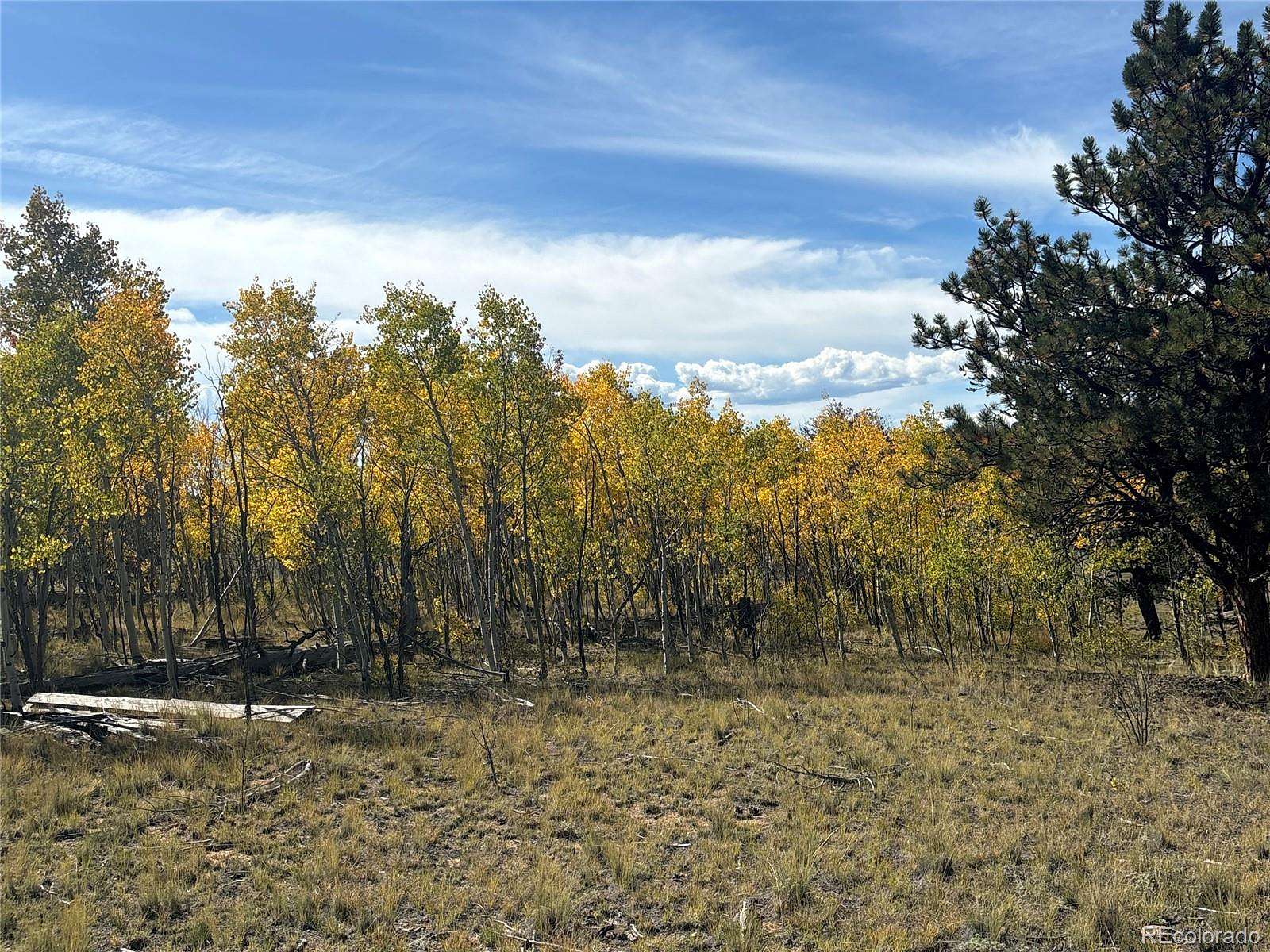 2 Acres of Residential Land for Sale in Jefferson, Colorado