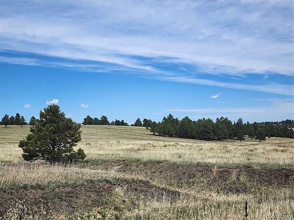 40 Acres of Land for Sale in Kiowa, Colorado
