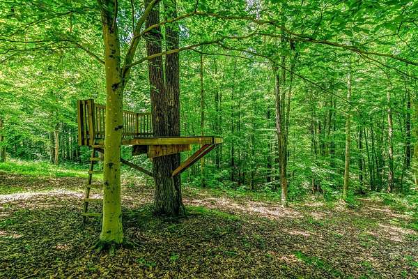 3 Acres of Land with Home for Lease in Clarksville, Tennessee