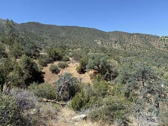 10 Acres of Recreational & Residential Land for Sale in Bodfish, California