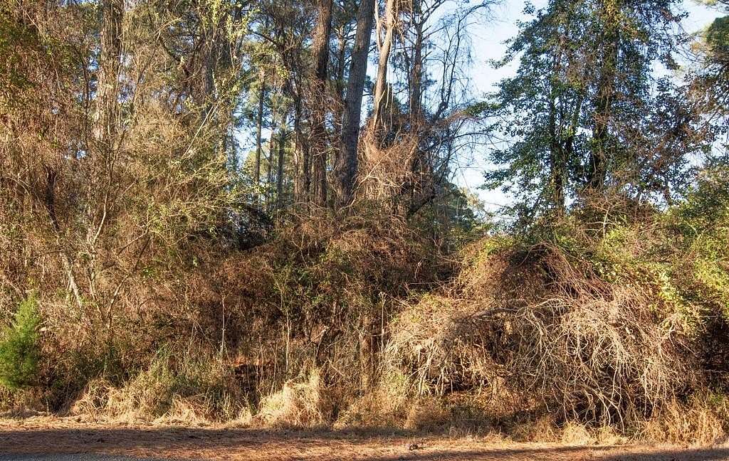 0.22 Acres of Residential Land for Sale in Greenbackville, Virginia