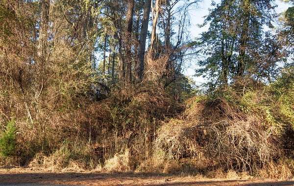 0.22 Acres of Residential Land for Sale in Greenbackville, Virginia