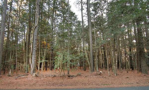 0.22 Acres of Residential Land for Sale in Greenbackville, Virginia
