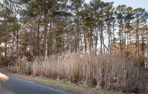 0.24 Acres of Residential Land for Sale in Greenbackville, Virginia