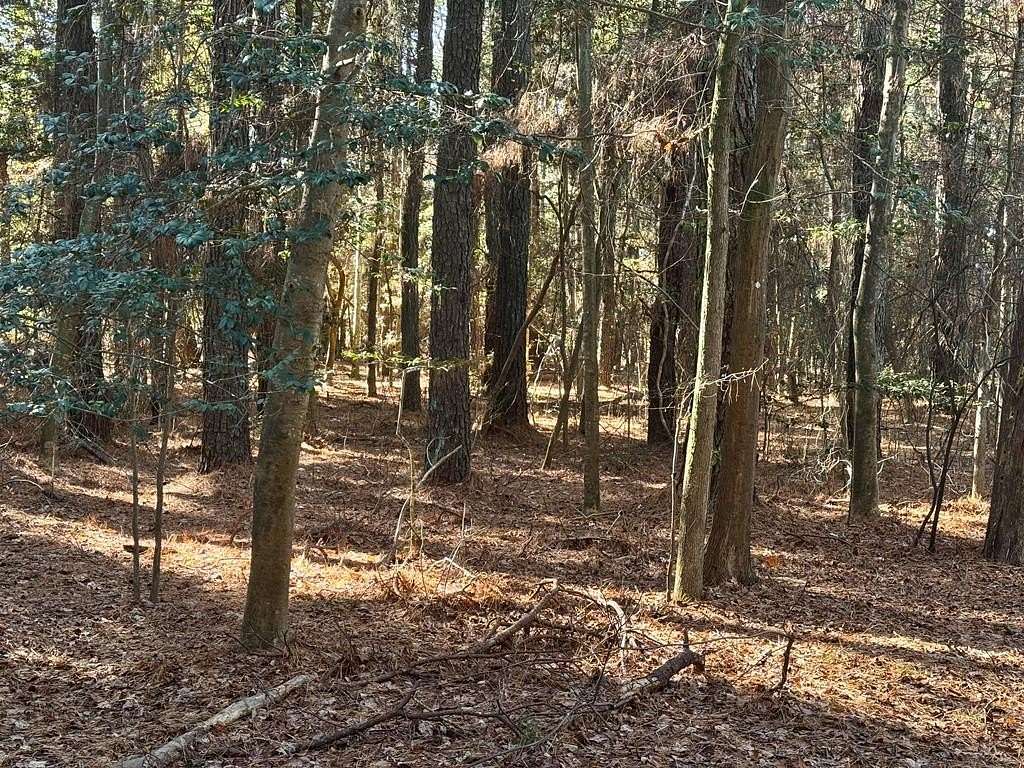0.22 Acres of Residential Land for Sale in Greenbackville, Virginia