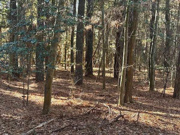0.22 Acres of Residential Land for Sale in Greenbackville, Virginia