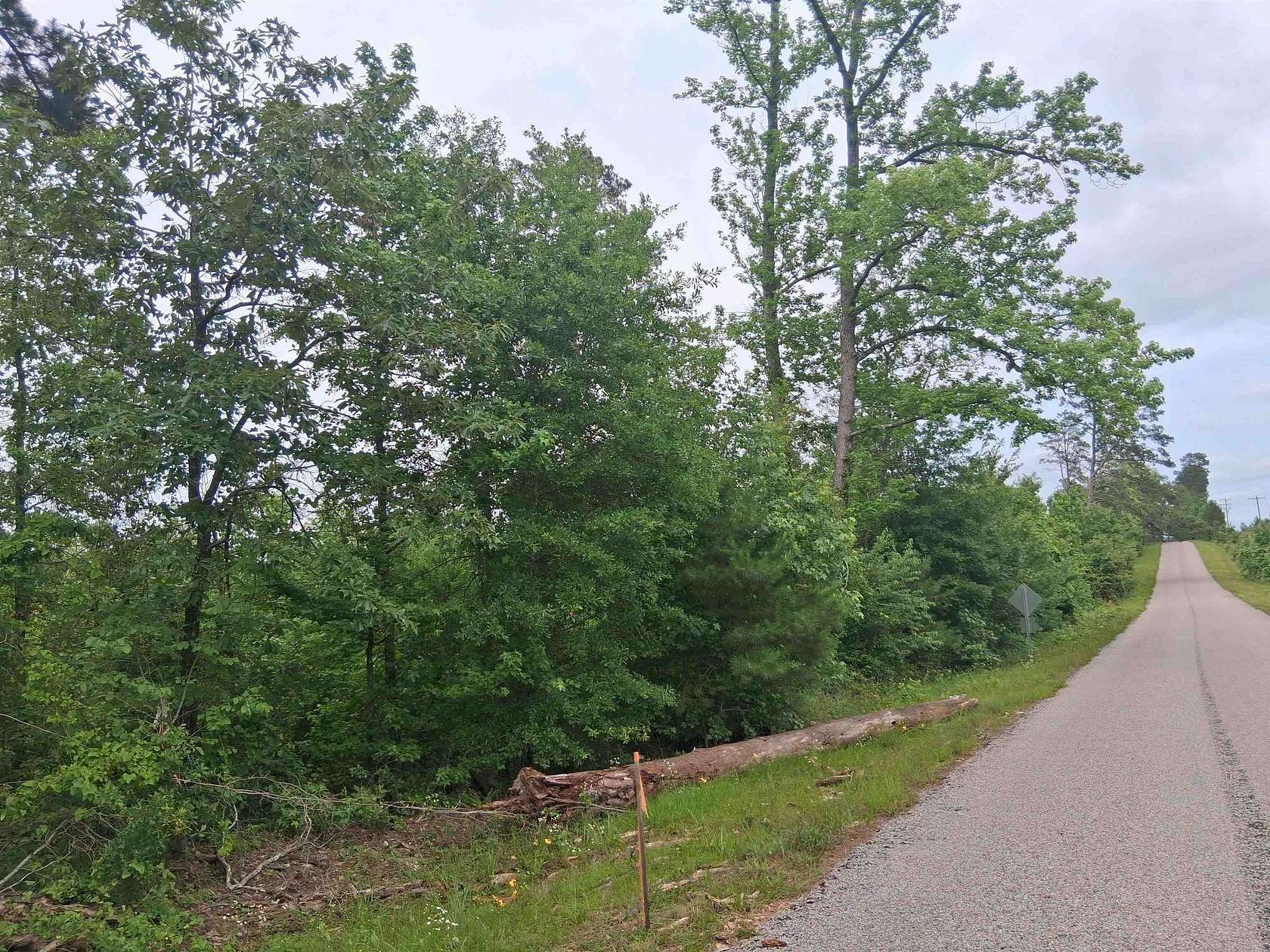 2 Acres of Residential Land for Sale in Harleton, Texas