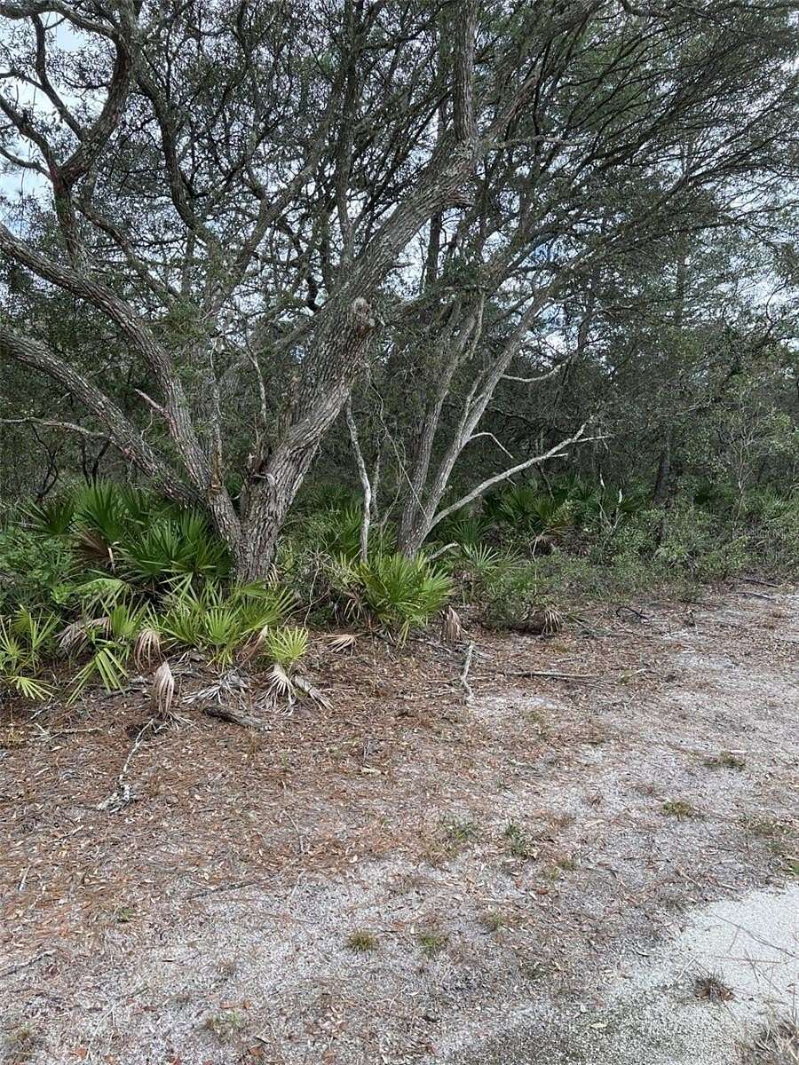 0.12 Acres of Residential Land for Sale in Fort McCoy, Florida