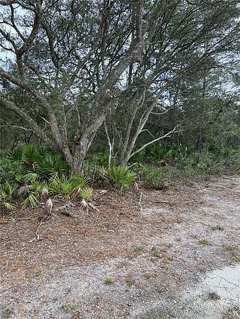 0.12 Acres of Residential Land for Sale in Fort McCoy, Florida