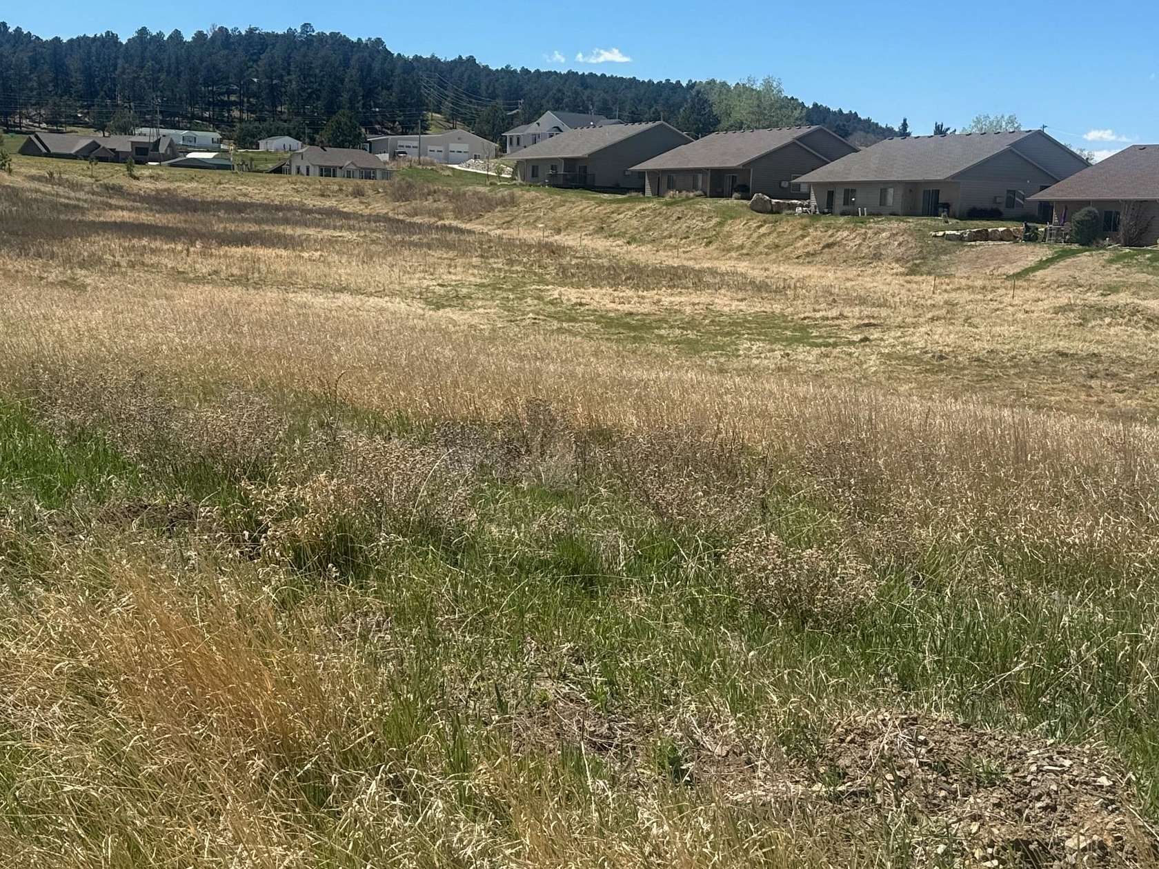 1 Acre of Residential Land for Sale in Custer, South Dakota