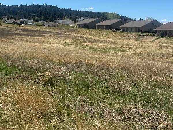 1 Acre of Residential Land for Sale in Custer, South Dakota