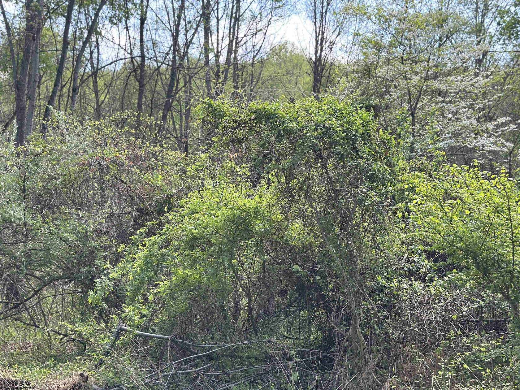 1.37 Acres of Residential Land for Sale in Carmichaels, Pennsylvania