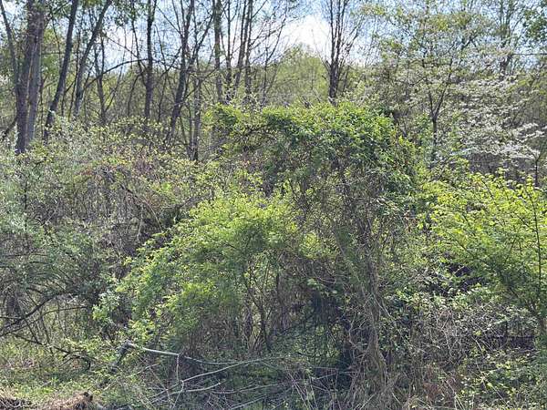 1.37 Acres of Residential Land for Sale in Carmichaels, Pennsylvania