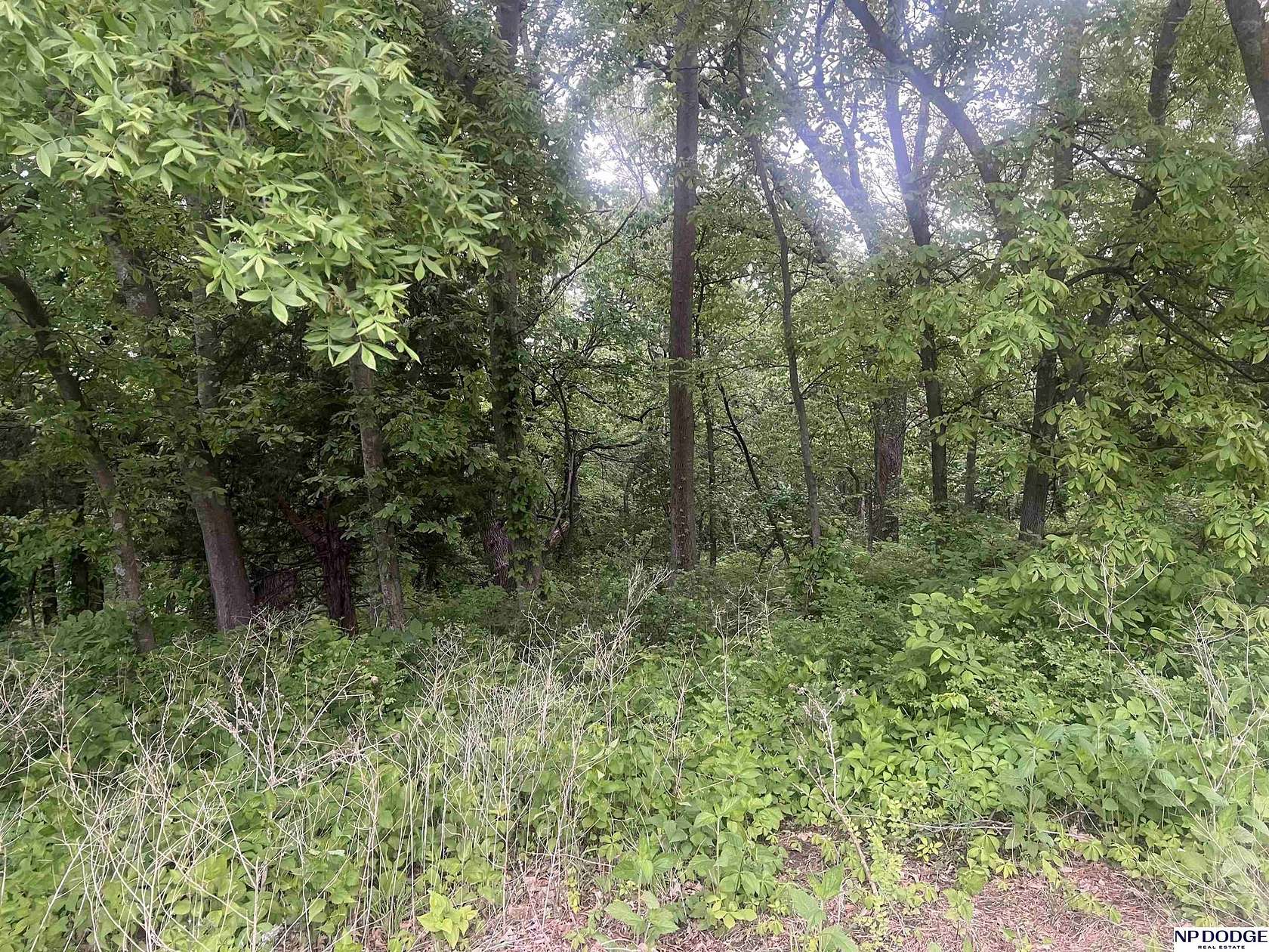 0.76 Acres of Residential Land for Sale in Elkhorn, Nebraska