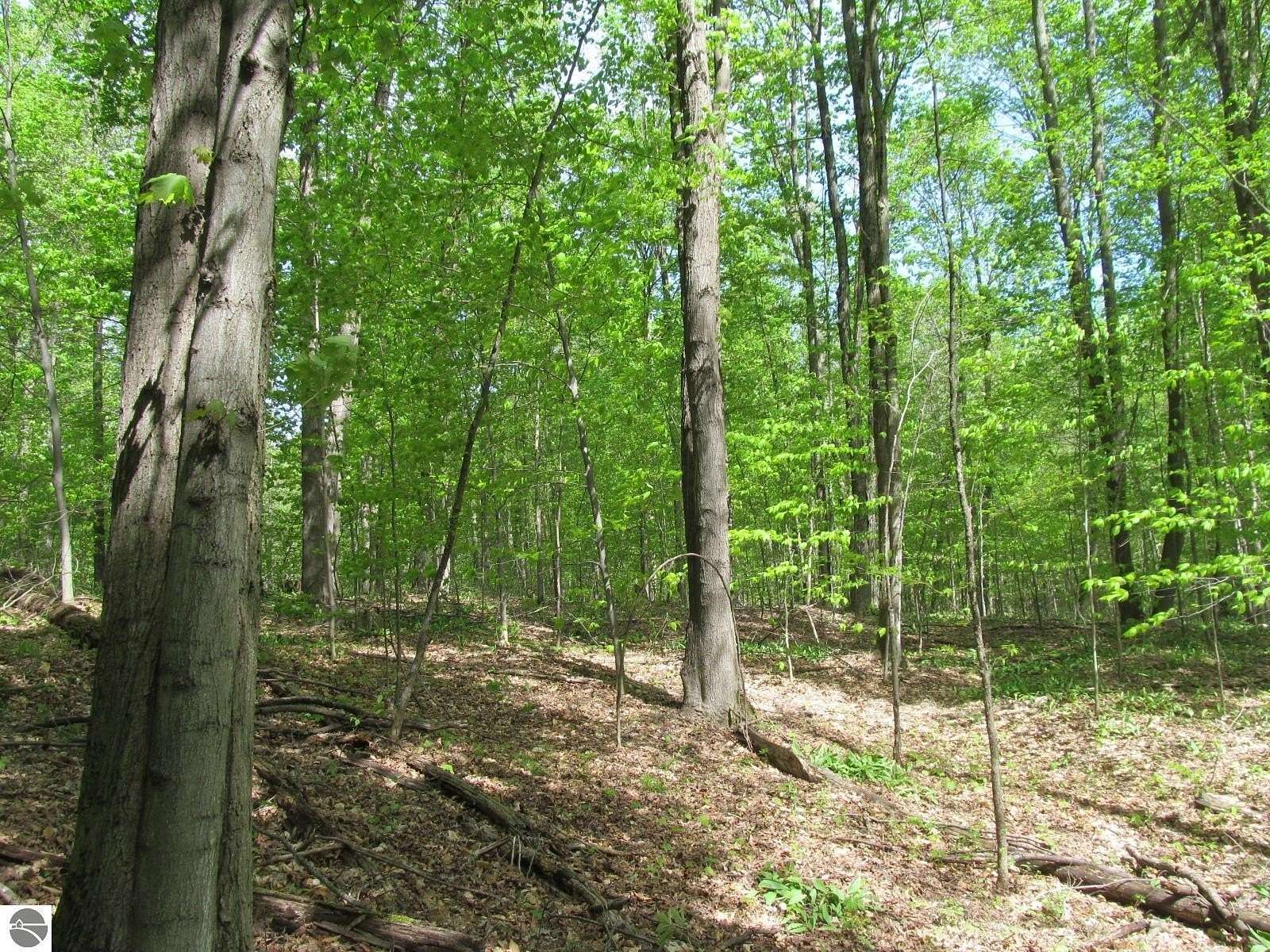 17.7 Acres of Recreational & Residential Land for Sale in Tustin, Michigan