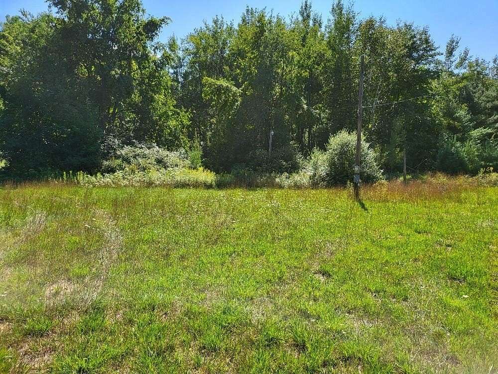 15 Acres of Recreational & Residential Land for Sale in Gladwin, Michigan
