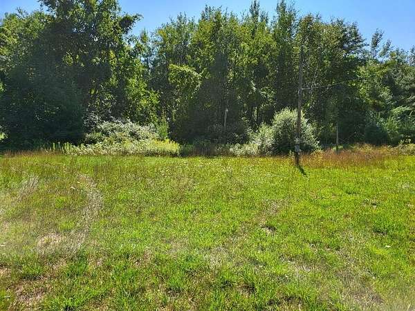 15 Acres of Recreational & Residential Land for Sale in Gladwin, Michigan
