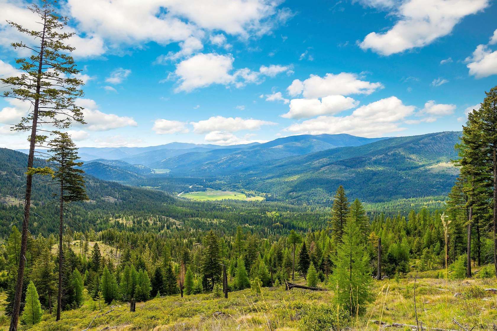 1,428 Acres of Land for Sale in Marion, Montana