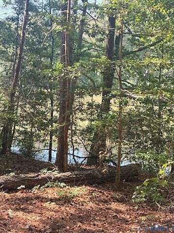 0.55 Acres of Residential Land for Sale in Montross, Virginia